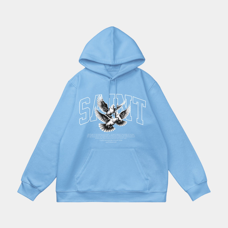 Ascend Hoodie