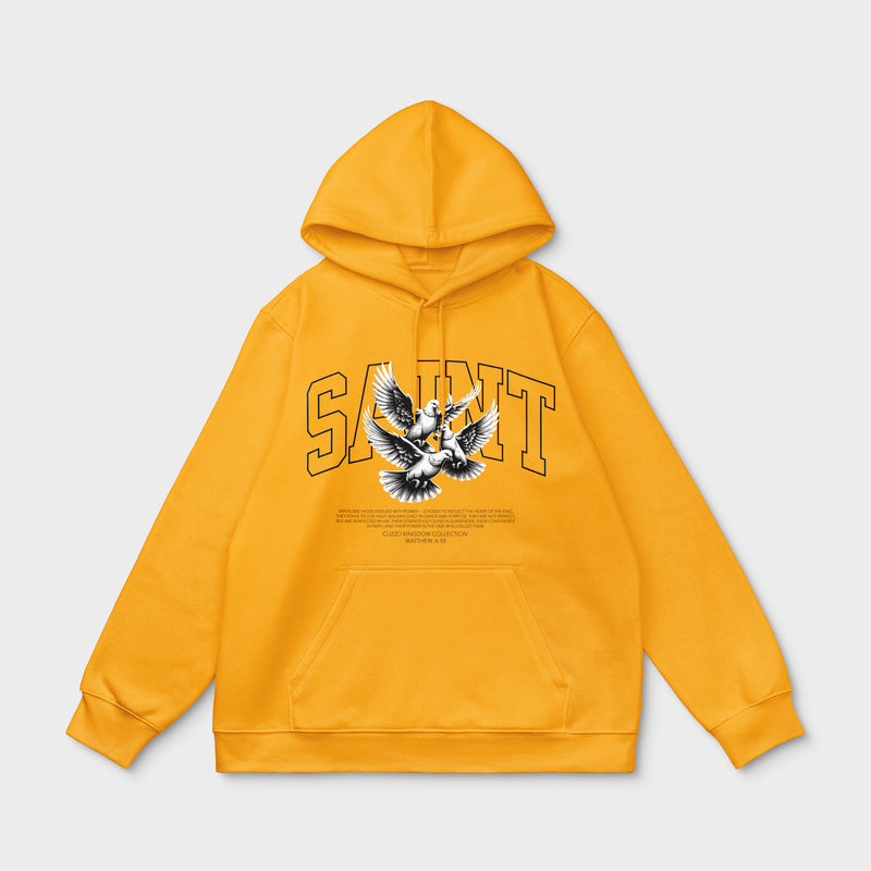Ascend Hoodie