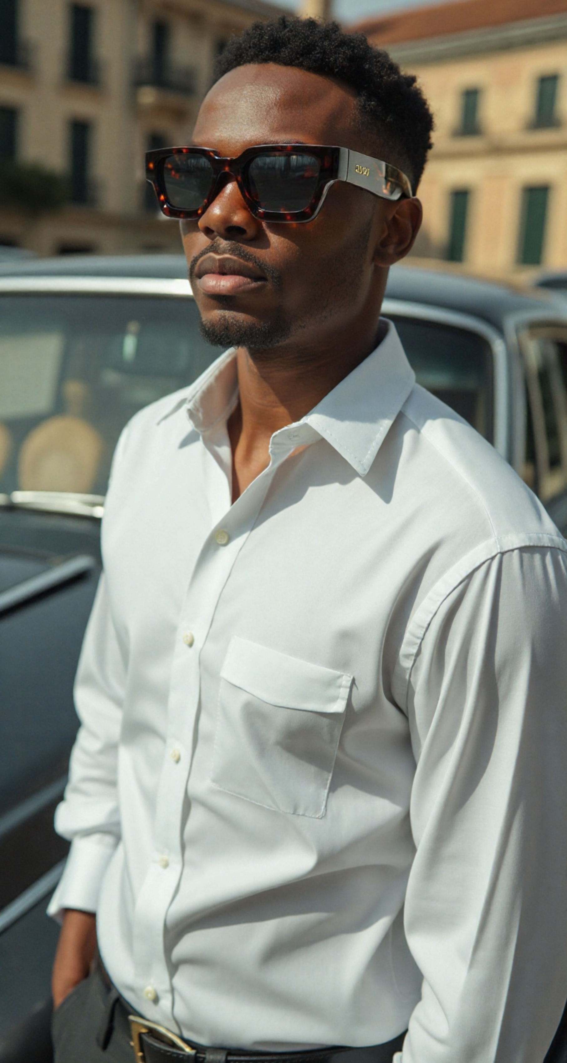 Apex Sunglasses (Tortoise)